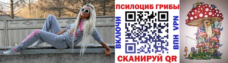 Псилоцибиновые грибы Magic Shrooms  Тула 